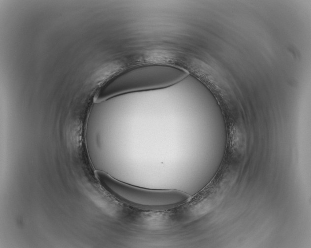 X0000110960356200906261346