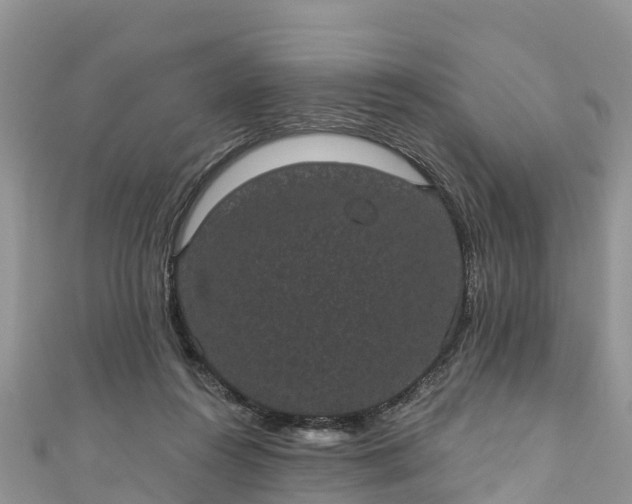 X0000110960360200906261346