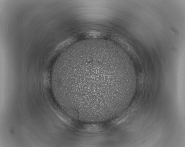 X0000110960361200906261346