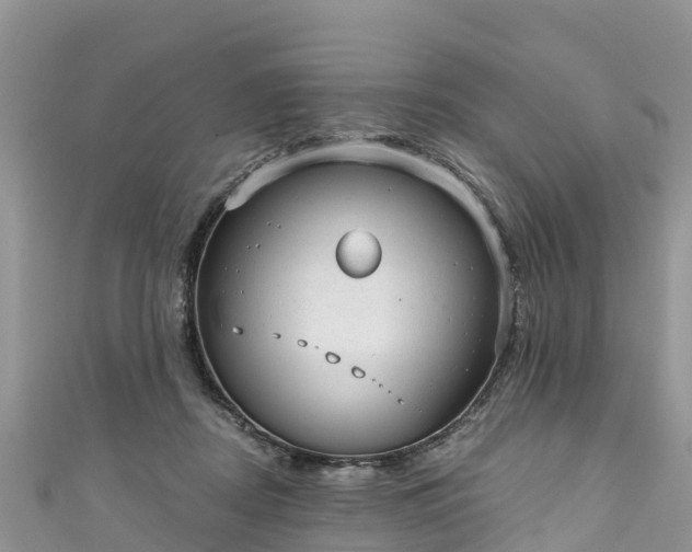 X0000110960362200906261346