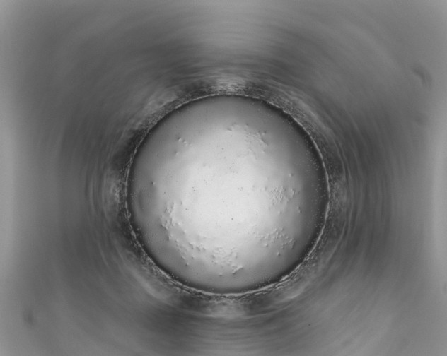 X0000110960363200906261346