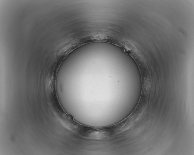 X0000110960364200906261346