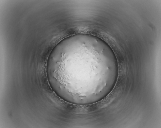 X0000110960369200906261346