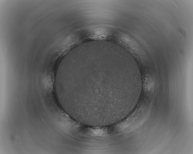 X0000110960370200906261346