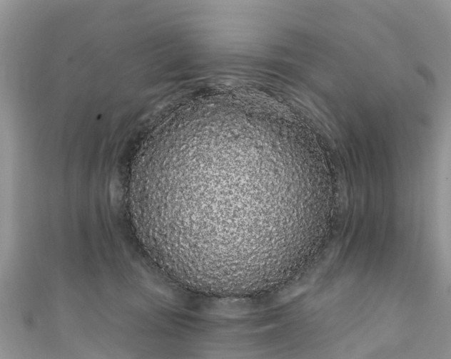 X0000110960371200906261346