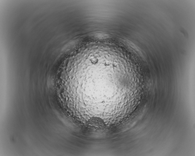 X0000110960373200906261346