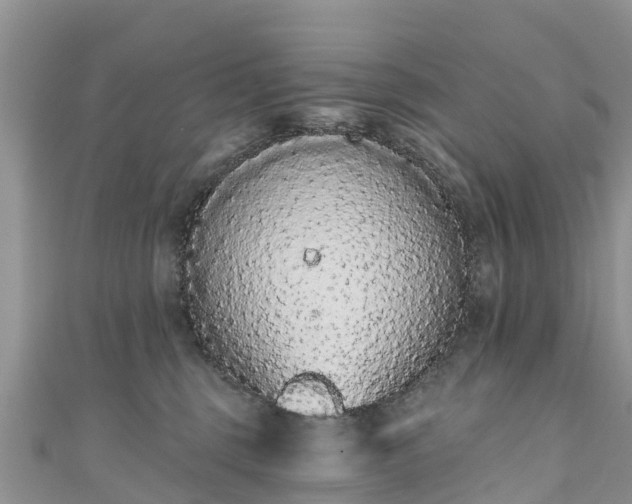 X0000110960375200906261347