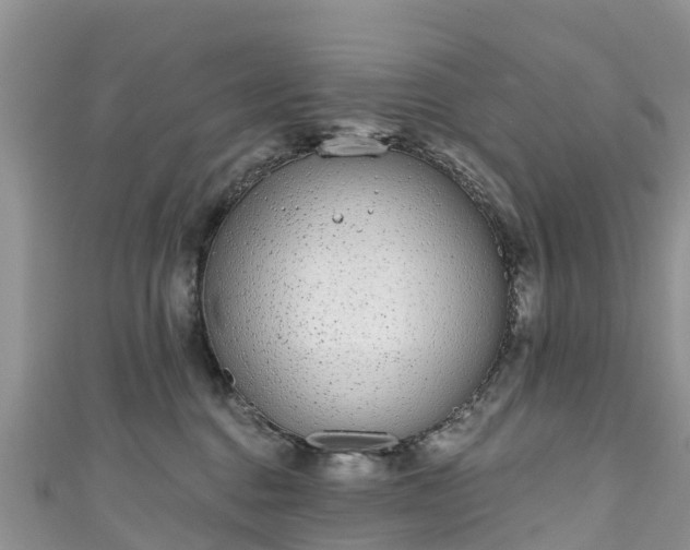 X0000110960376200906261347