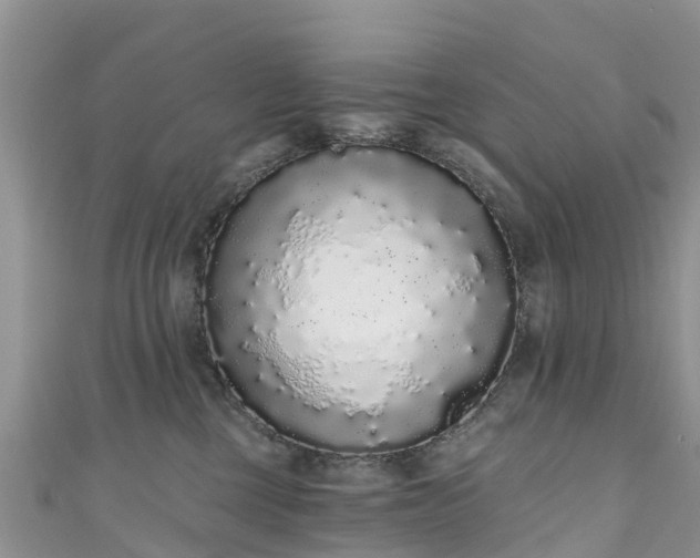 X0000110960377200906261347