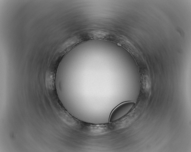 X0000110960378200906261347