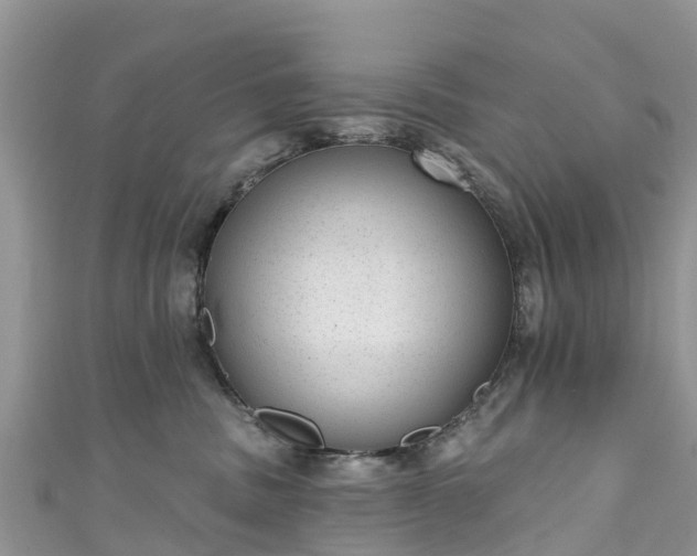 X0000110960379200906261347