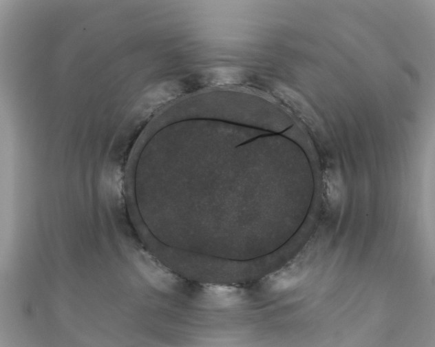 X0000110960380200906261347