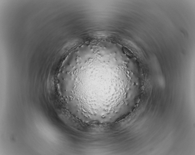 X0000110960381200906261347