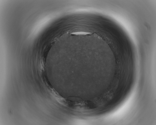 X0000110960382200906261347