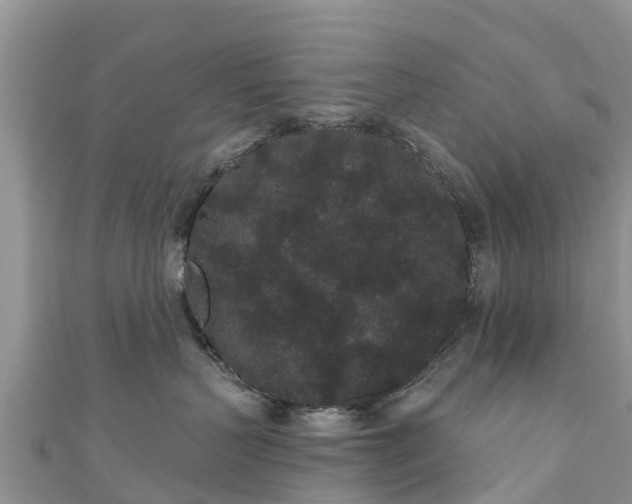 X0000110960383200906261347