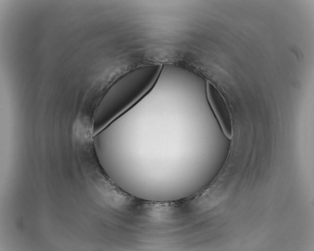 X0000110960384200906261347