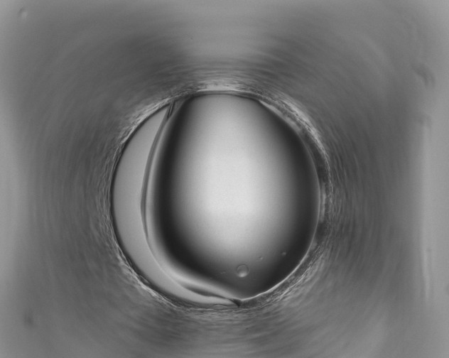 X0000110960385200906261346