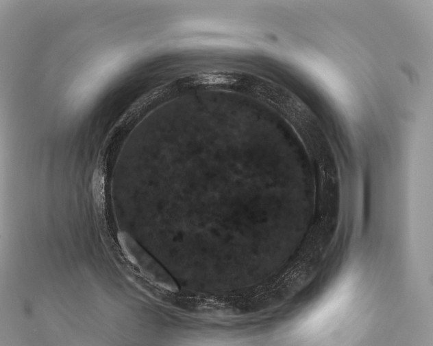 X0000110960387200906261346