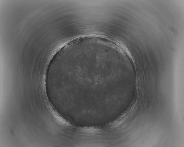 X0000110960389200906261346