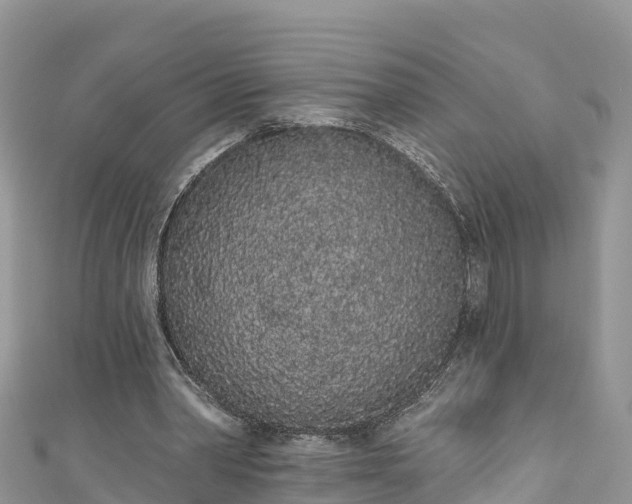 X0000110960390200906261346