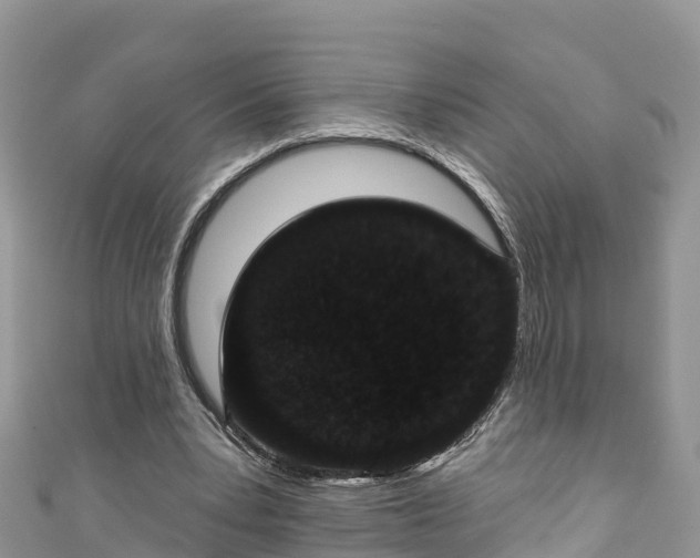 X0000110960391200906261346