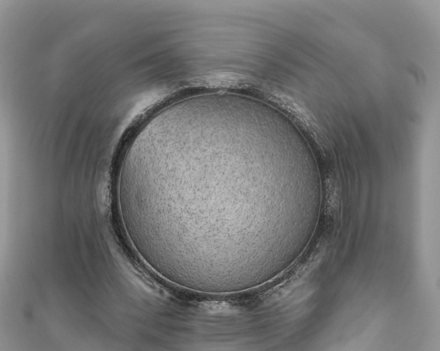 X0000110960392200906261346