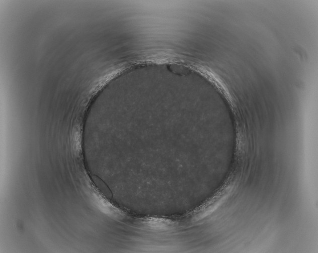 X0000110960393200906261346