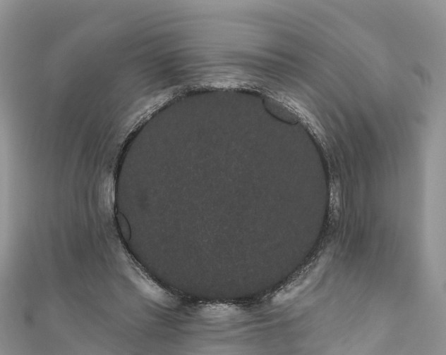 X0000110960397200906261346