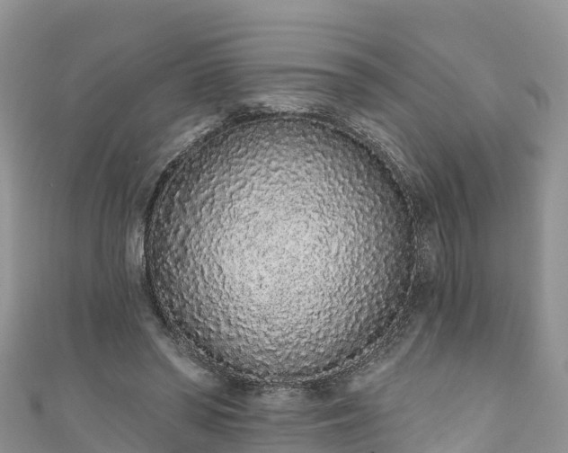 X0000110960398200906261346