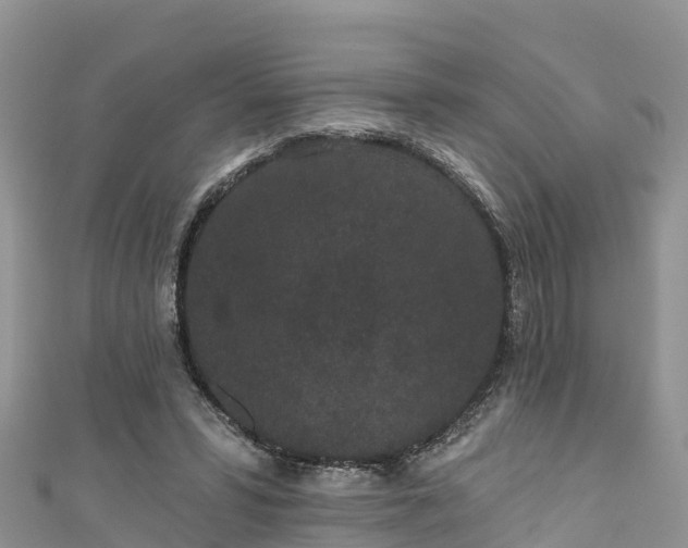 X0000110960399200906261346