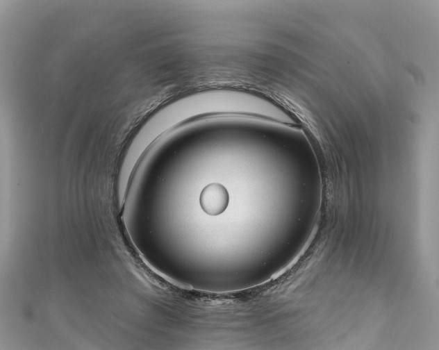 X0000110960401200906261346