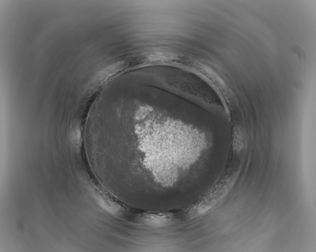 X0000110960405200906261346