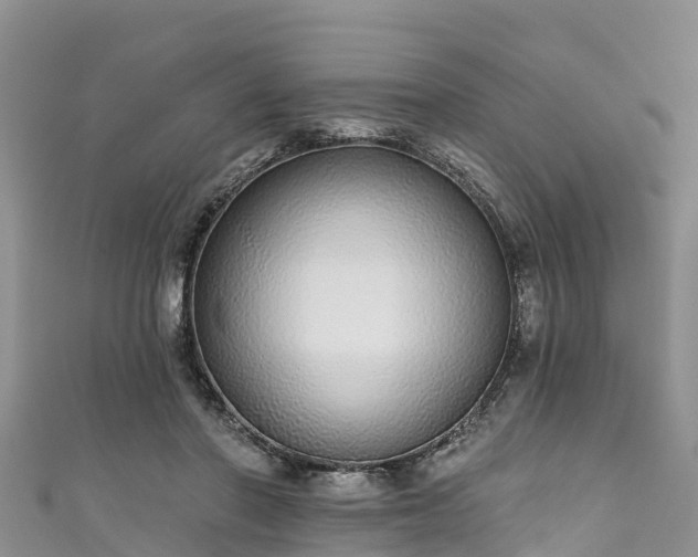 X0000110960406200906261346