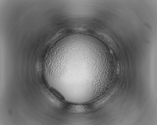 X0000110960409200906261346