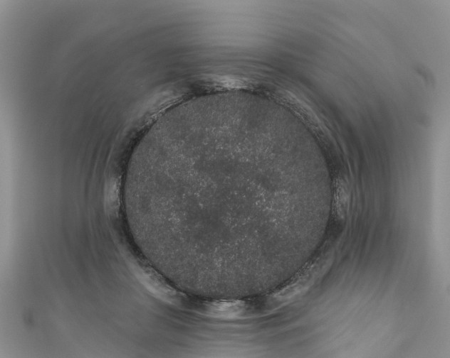 X0000110960410200906261346