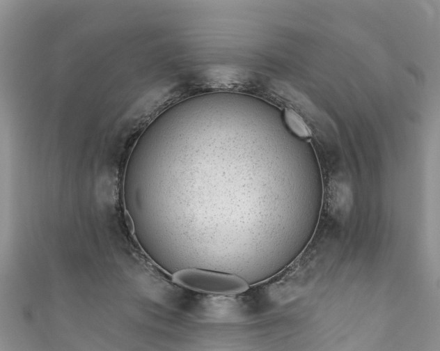 X0000110960413200906261345