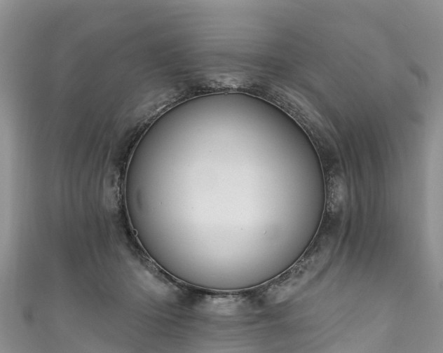 X0000110960414200906261345