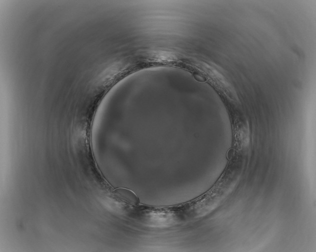 X0000110960415200906261345