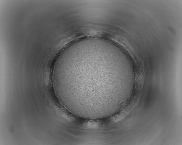 X0000110960416200906261345