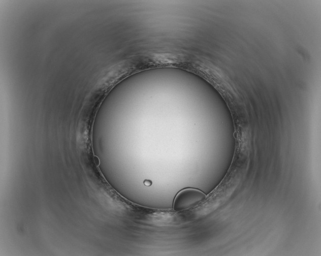 X0000110960418200906261345