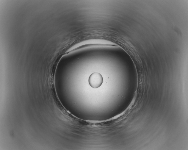 X0000110960419200906261345