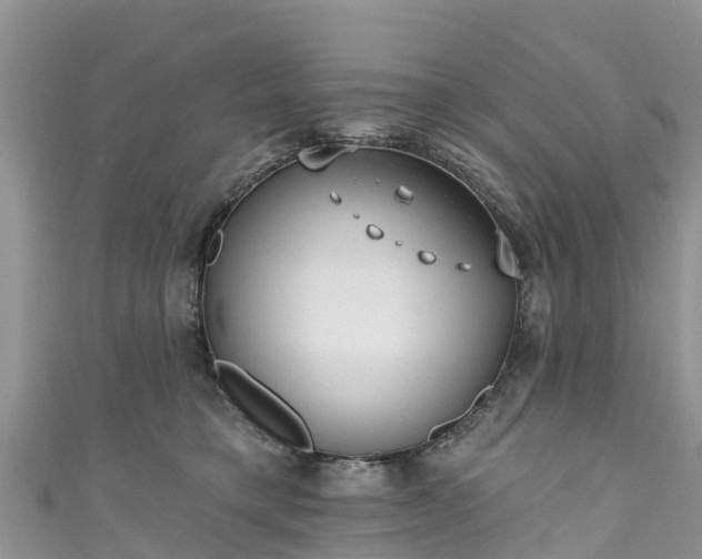 X0000110960421200906261345