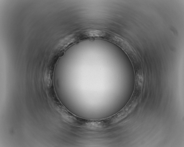 X0000110960422200906261345