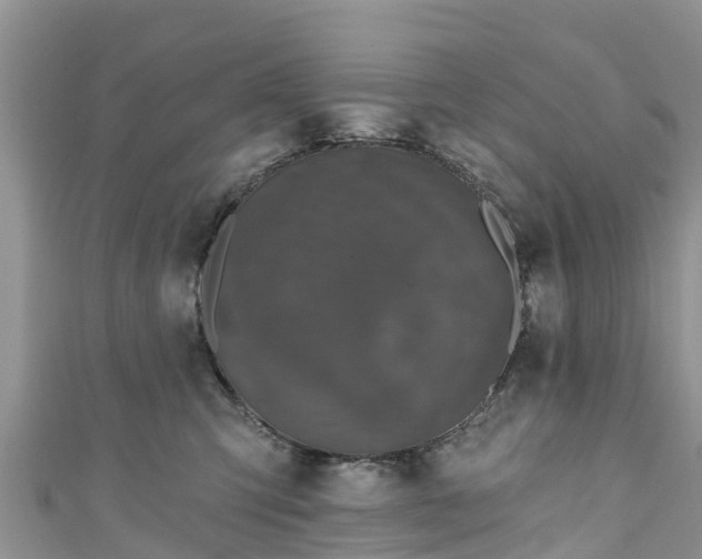 X0000110960423200906261345