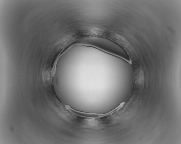 X0000110960425200906261345