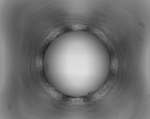 X0000110960426200906261345