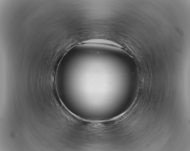 X0000110960427200906261345