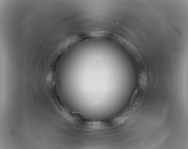 X0000110960428200906261345