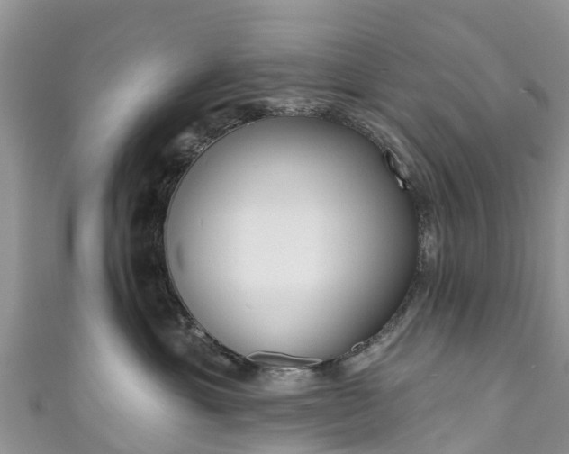 X0000110960429200906261345