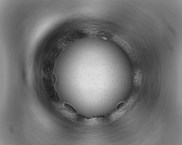 X0000110960430200906261345